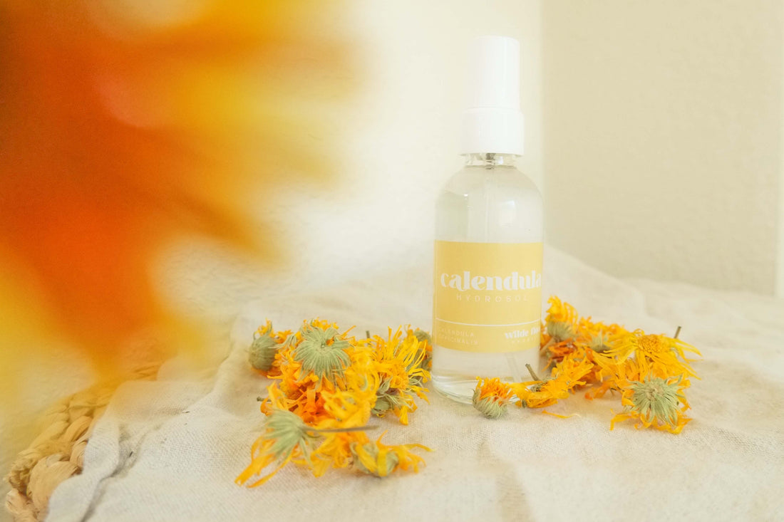 Calendula single plant small batch hydrosol