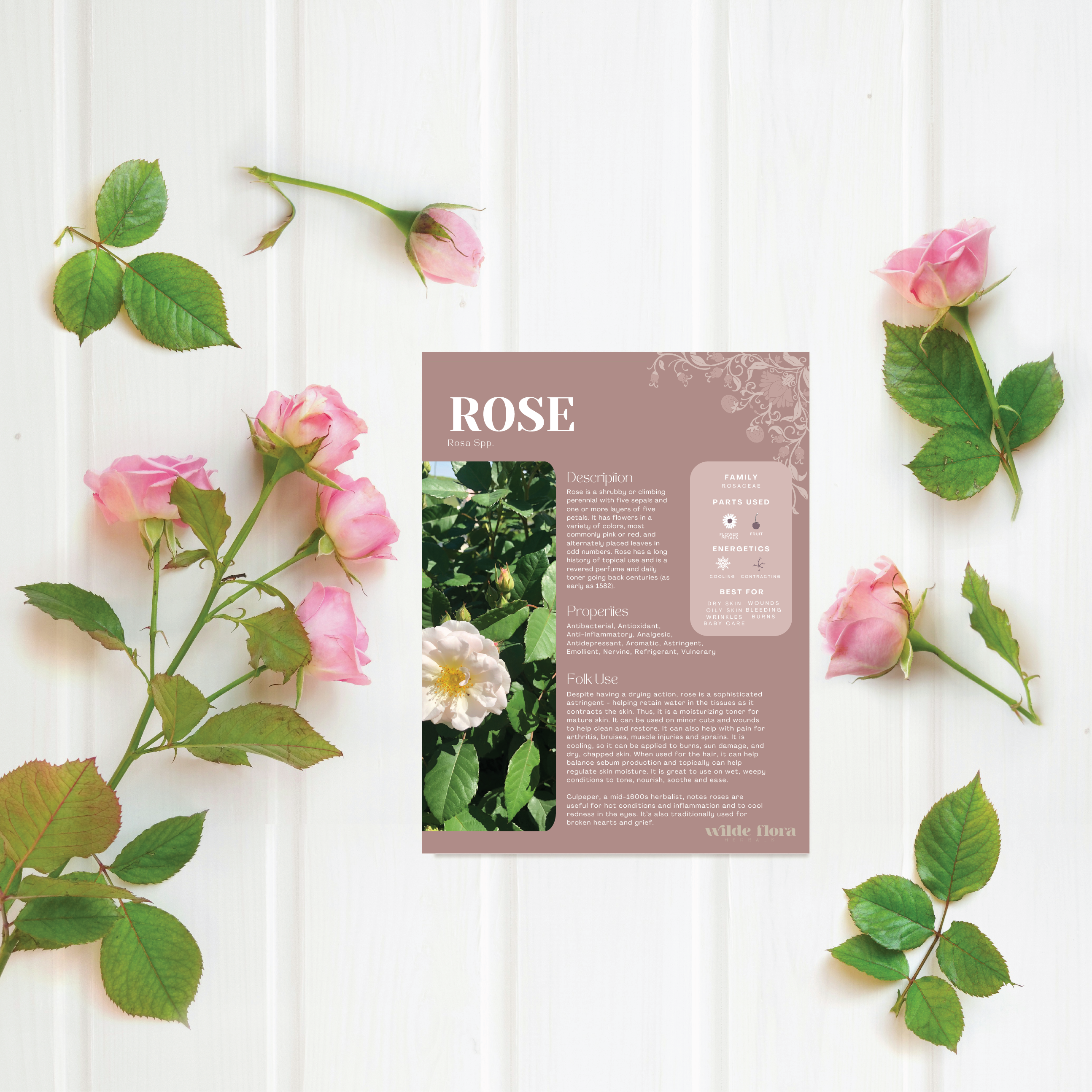 How to Use Rose in Skincare