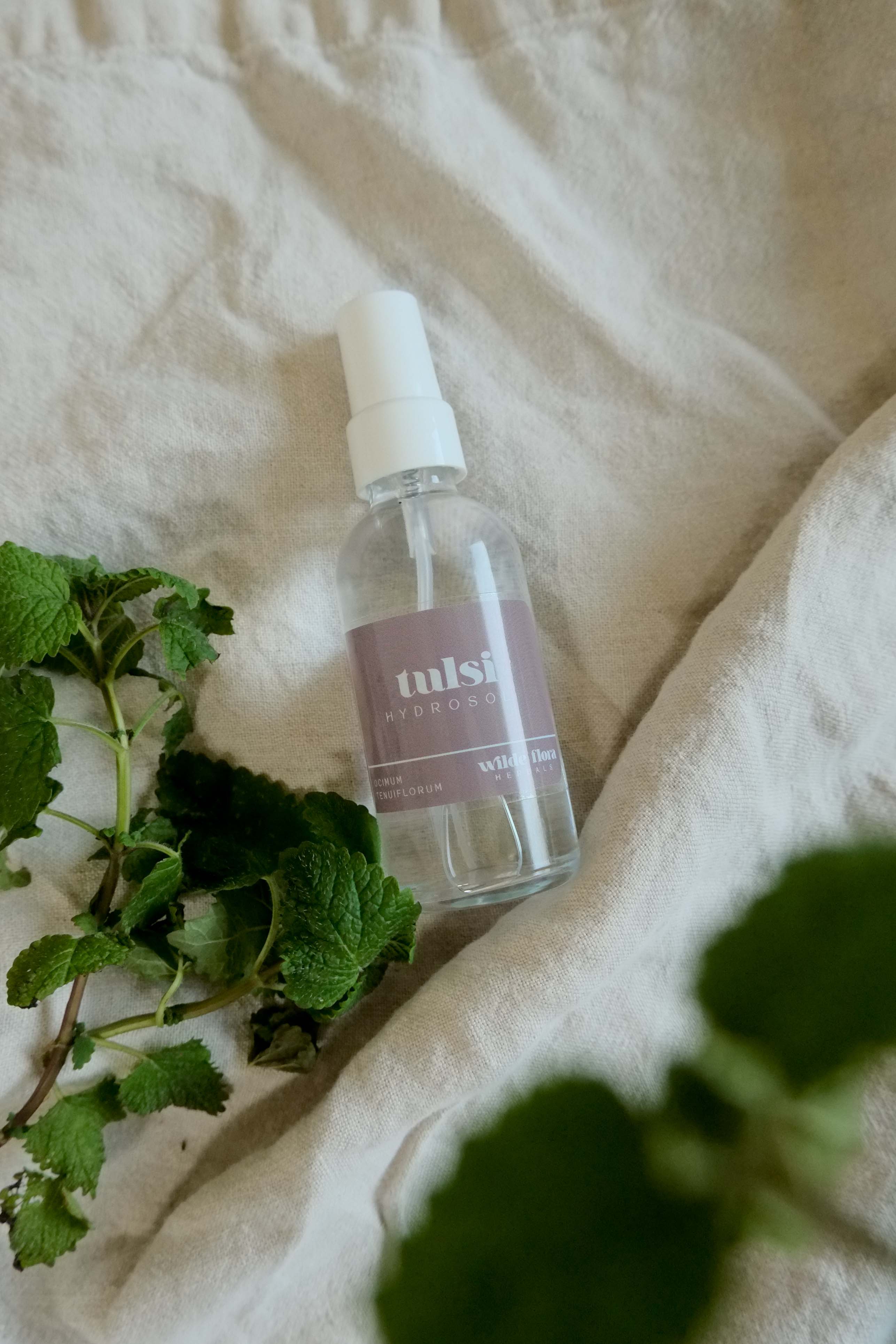 Tulsi Hydrosol | Herbal Toner