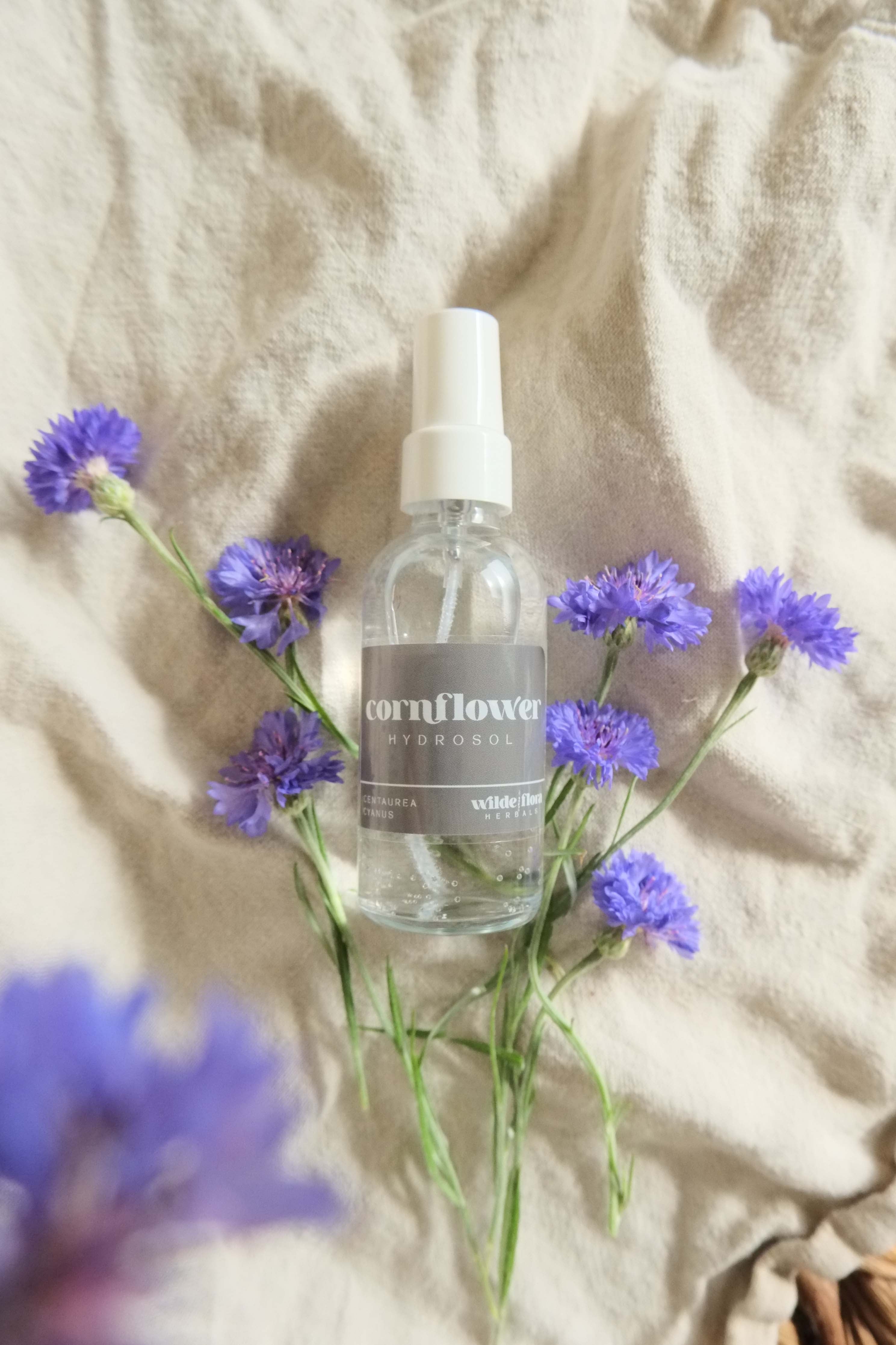 Cornflower Hydrosol | Herbal Toner