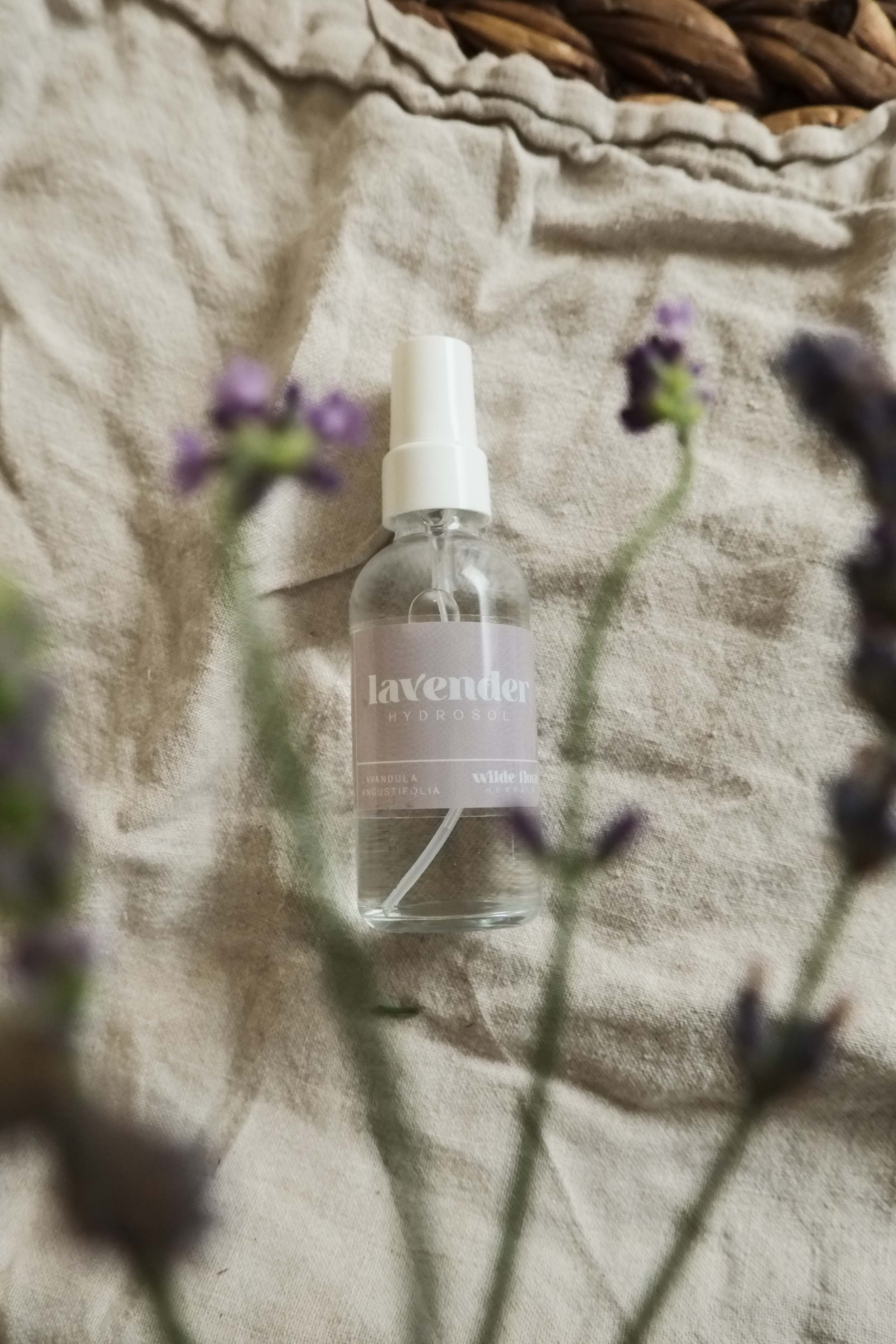 Lavender Hydrosol | Herbal Toner